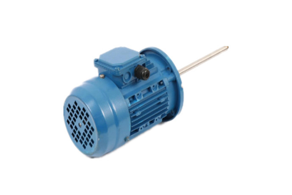 立式長(cháng)軸電機